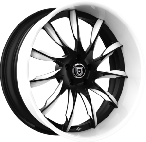 LF-747 - Custom - Black and white finish