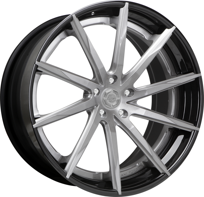 LZ-101 – Custom – Brushed and black finish