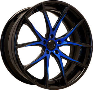 LZ-102 - Custom - Blue and Black Finish