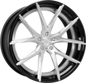 LZ-102 - Custom - Brushed and black finish. (2)