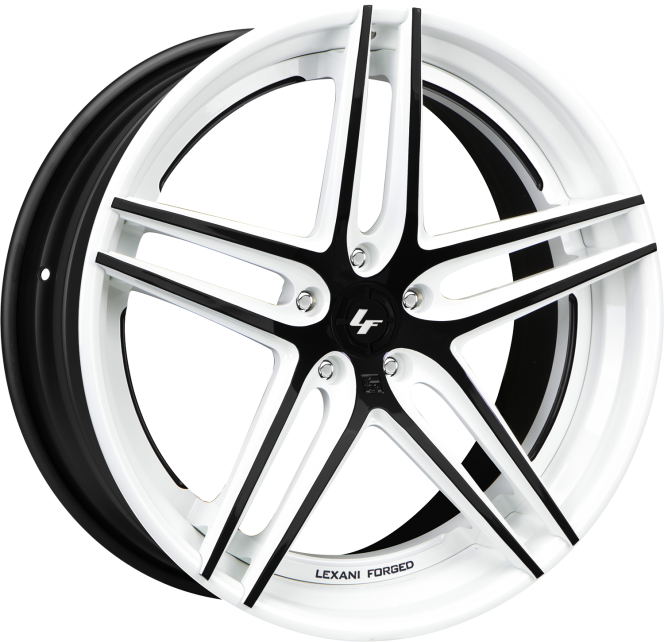 LZ-105 – Custom – White and Black finish