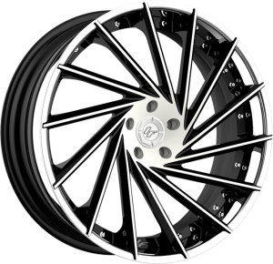 LZ-114 - Custom - Black and white finish