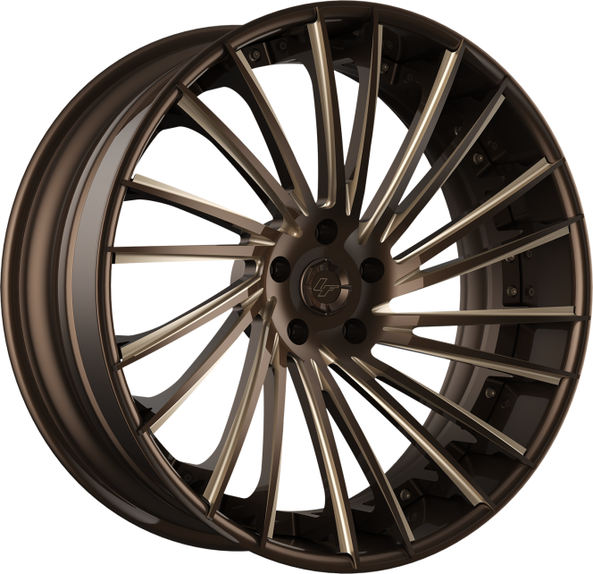 LZ-119 – Custom – Brown and Champagne