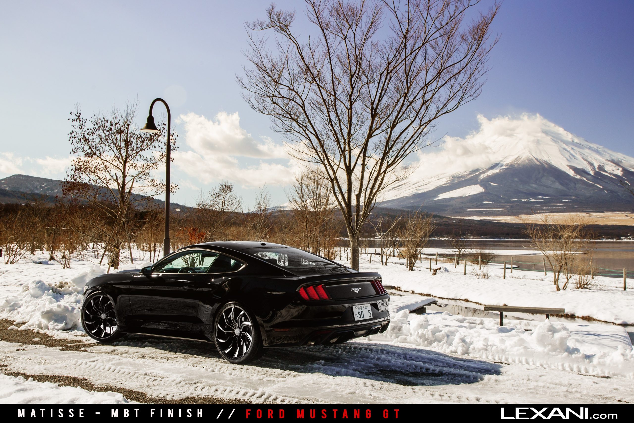 Ford Mustang on Matisse %282%29